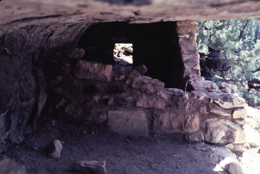 Walnut Canyon National Monument, Flagstaff, AZ