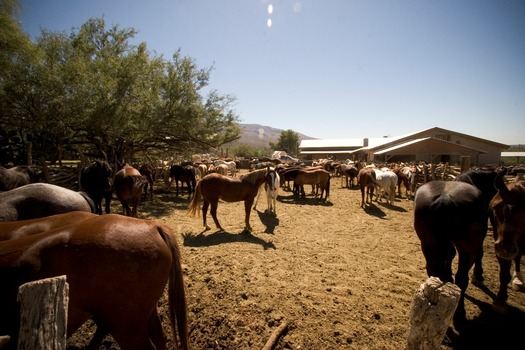 Tanque Verde Ranch