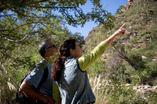 Sabino Canyon Hiking