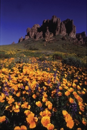 Superstition Mountains