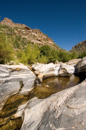 Sabino Canyon