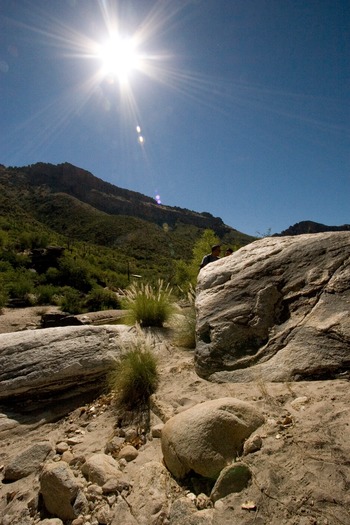 Sabino Canyon Hiking