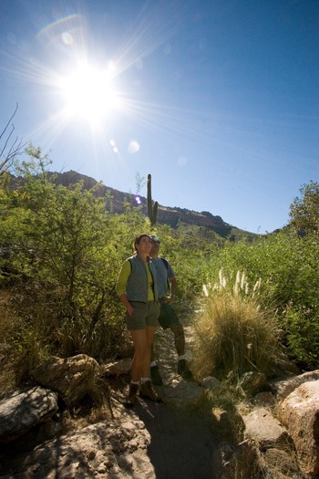 Sabino Canyon Hiking