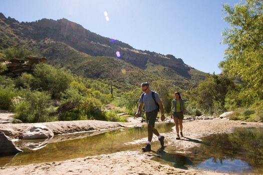 Sabino Canyon Hiking