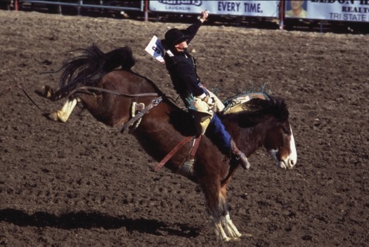 Bullhead City Rodeo