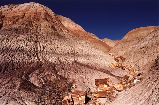 Petrified Forest National Park