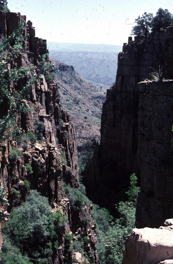 Tonto National Forest