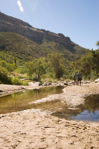 Sabino Canyon Hiking