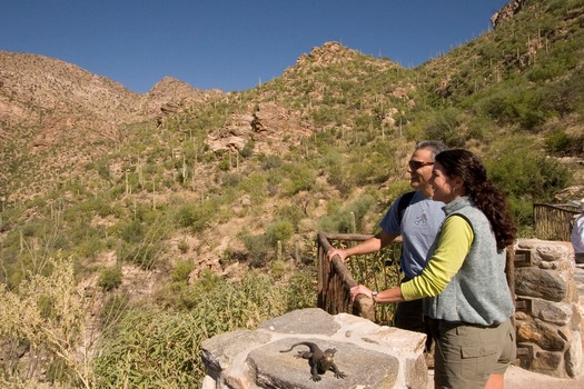 Sabino Canyon Lookout