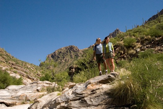 Sabino Canyon Hiking