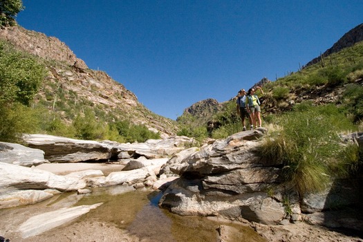 Sabino Canyon Hiking