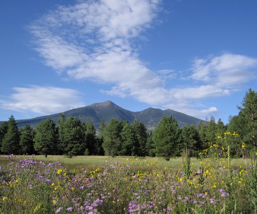 Flagstaff Mountains