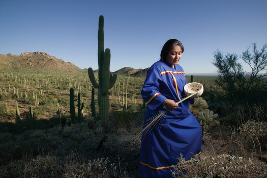 American Indian Basket Weaver