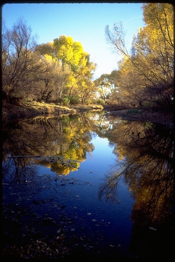 San Pedro Riparian National Conservation Area