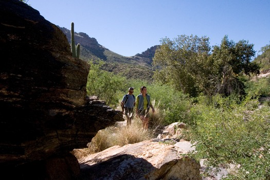 Sabino Canyon Hiking