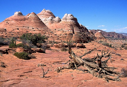 Vermilion Cliffs