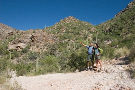 Sabino Canyon Hiking