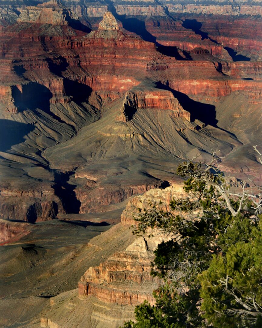 Grand Canyon_credit Tina Faust