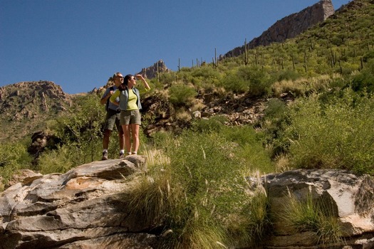 Sabino Canyon Hiking