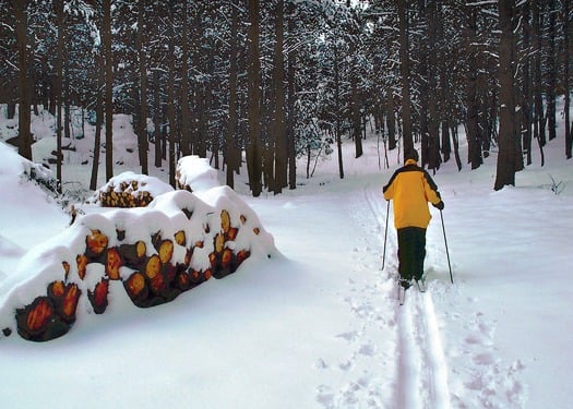 Snowbowl Skiing