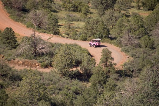 Sedona Pink Jeep Tours