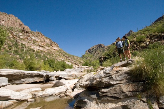 Sabino Canyon Hiking