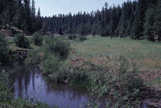 San Carlos Indian Reservation