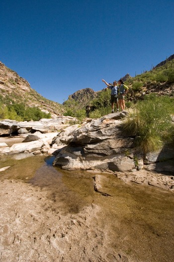 Sabino Canyon Hiking