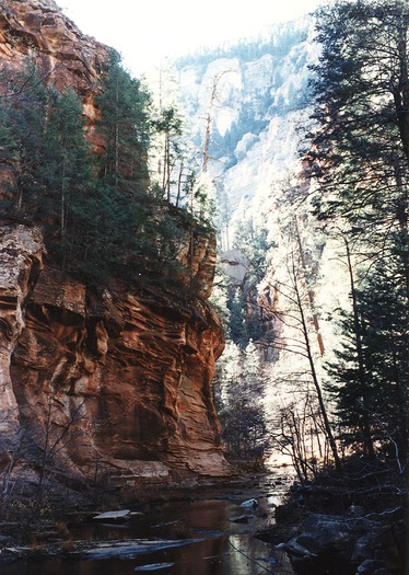 West Fork Oak Creek North of Sedona