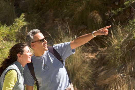 Sabino Canyon Hiking