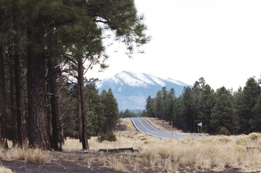 Arizona Snowbowl