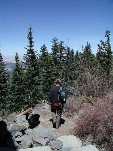 Hiking in Flagstaff