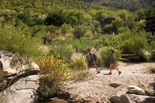 Sabino Canyon Hiking