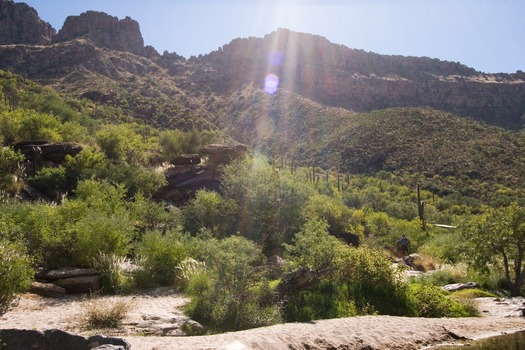 Sabino Canyon Hiking