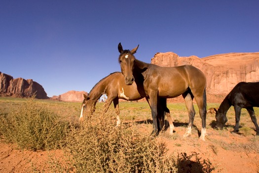 Monument Valley