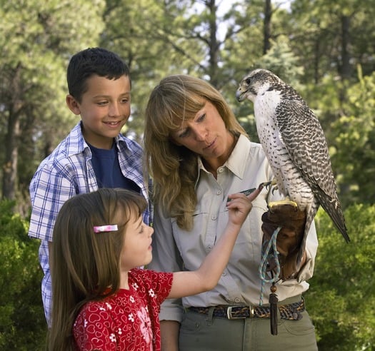 Picture Canyon Natural and Cultural Preserve