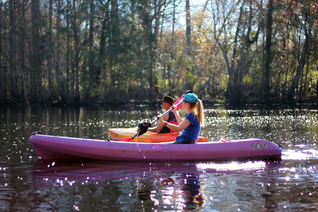 Kayaking the Withlacoochee River, Florida's Adventure Coast