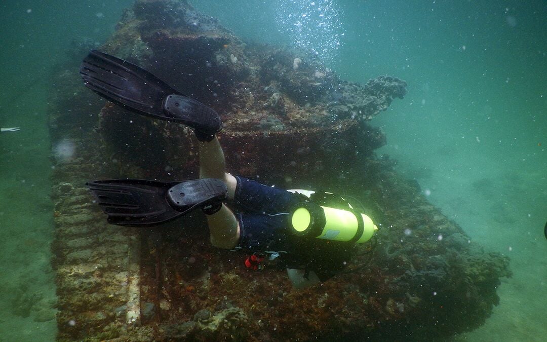 Bendickson Reef Scuba Diver, Gulf of Mexico, Bayport