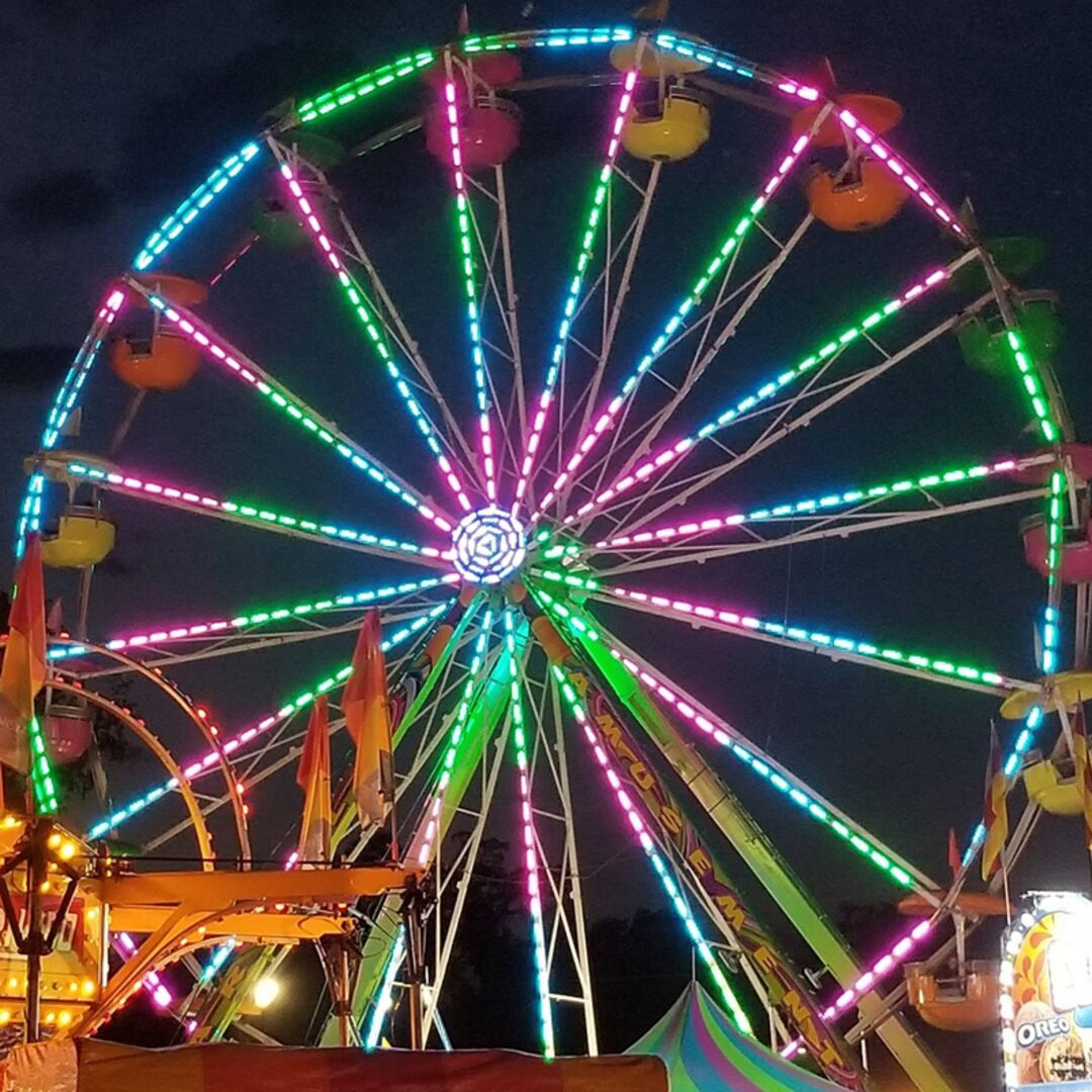 Hernando County Fair