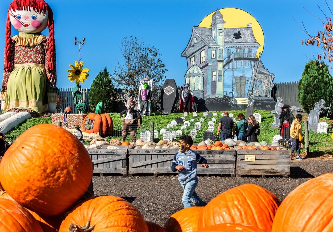 Linvilla Orchards