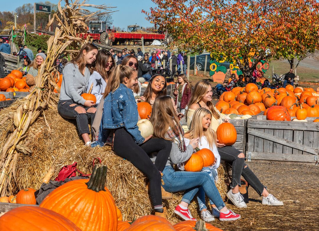 Linvilla Orchards