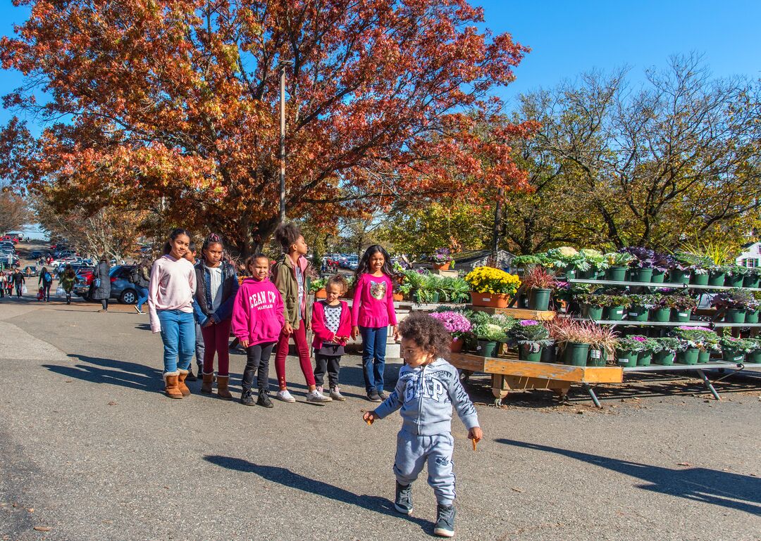 Linvilla Orchards