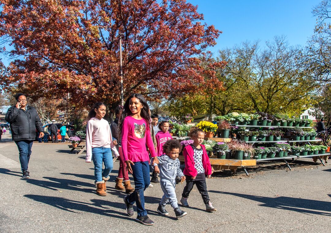 Linvilla Orchards