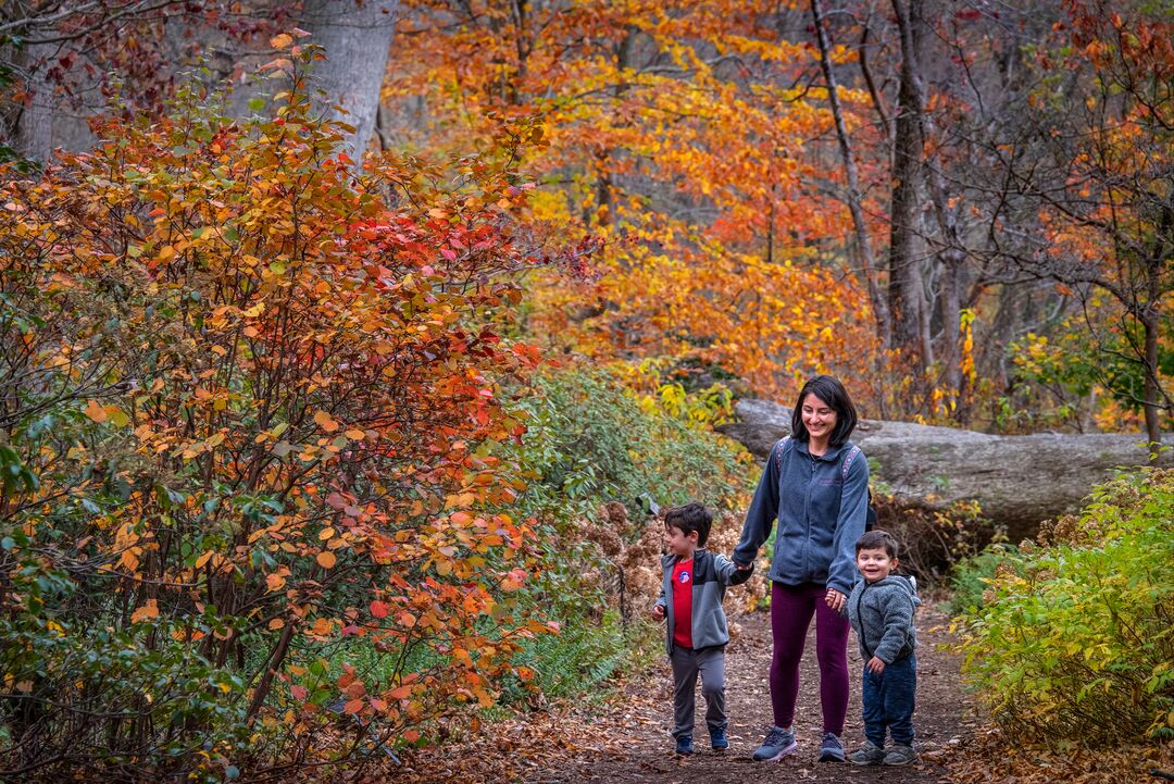 Tyler Arboretum