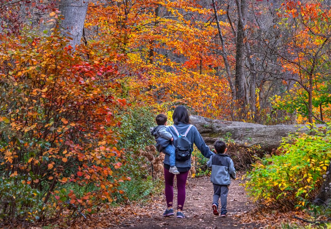 Tyler Arboretum