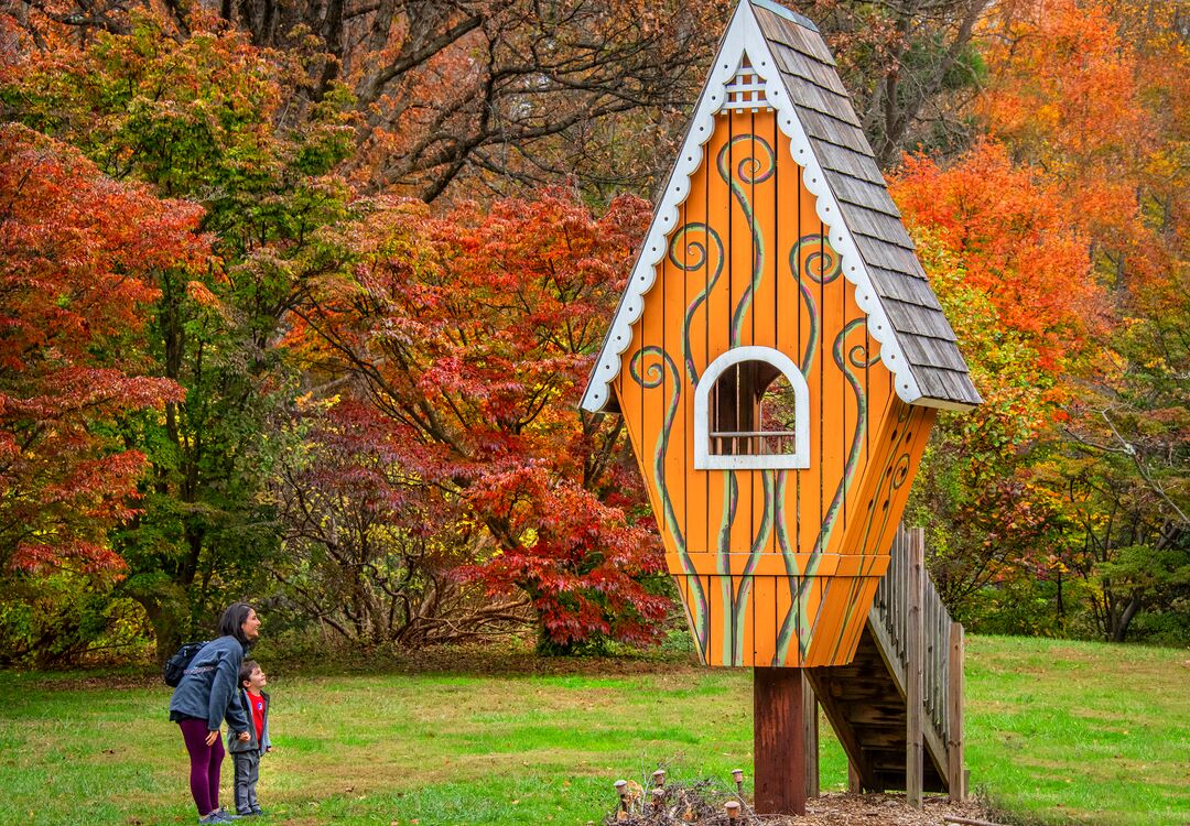 Tyler Arboretum