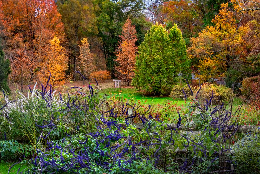 Tyler Arboretum