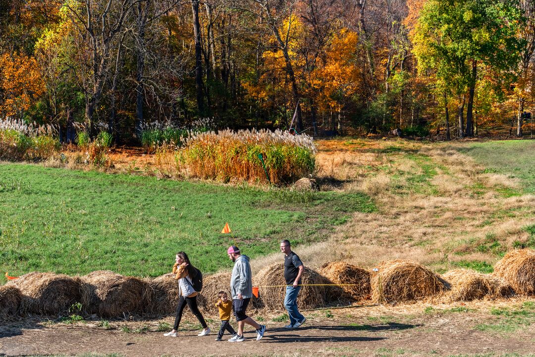 Linvilla Orchards