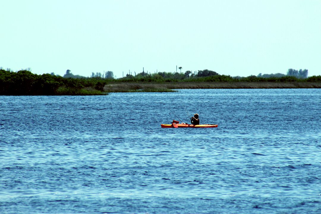 Hernando Gulf of Mexico