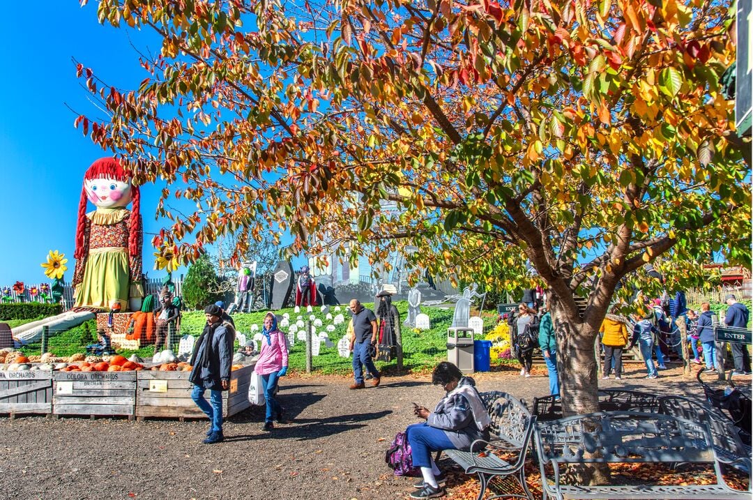 Linvilla Orchards